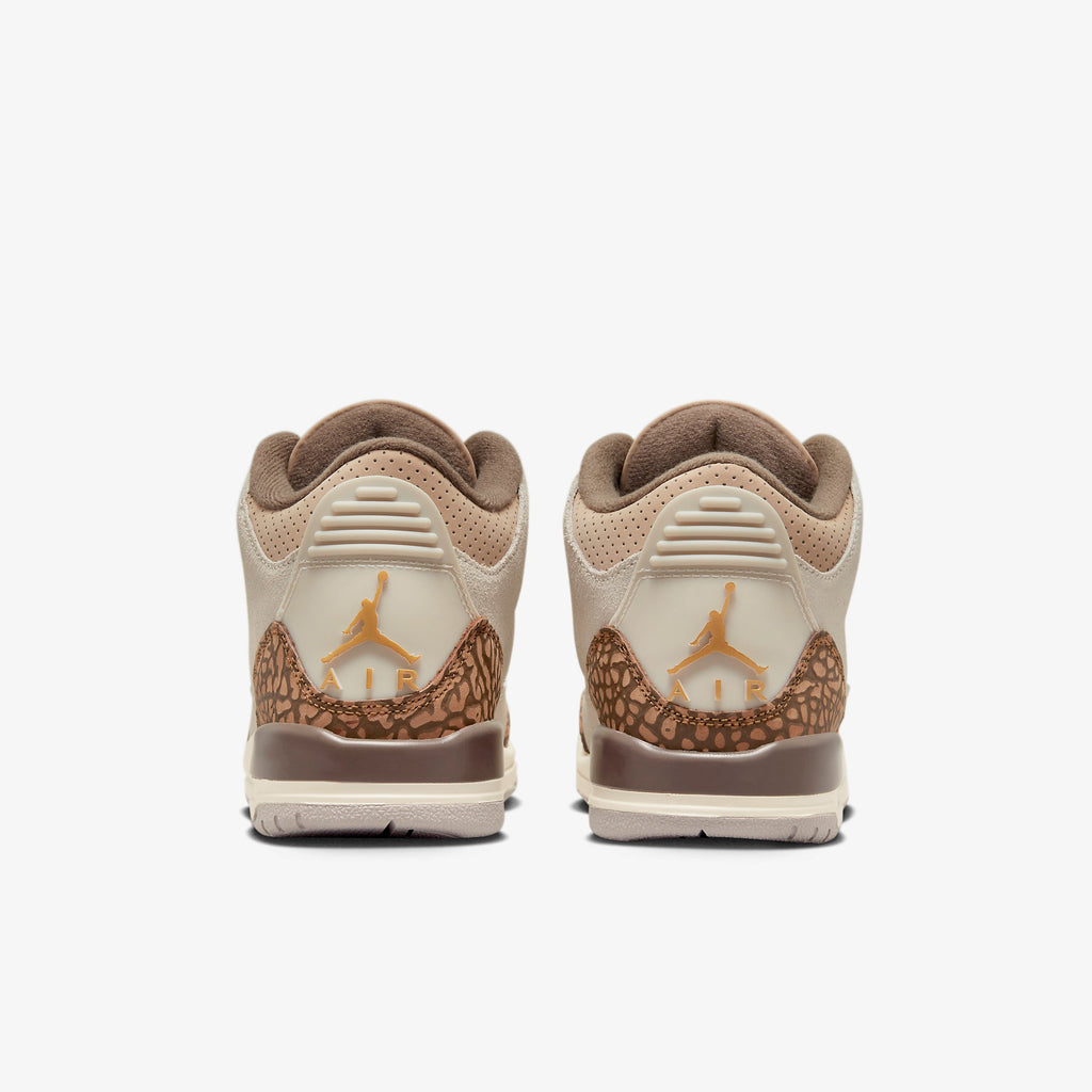 Air Jordan 3 GS "Palomino" DM0967-102